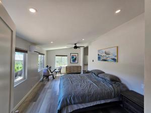 BradleyEagles Nest is a 40-acre 1400 Sqft Custom Home的一间卧室配有一张床和一张书桌