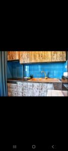 塞雷ALEXANDER Golden View Serres的一个带木制橱柜和水槽的厨房