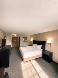 LanesboroCountry Trails Inn &Suites的酒店客房,配有床和电视
