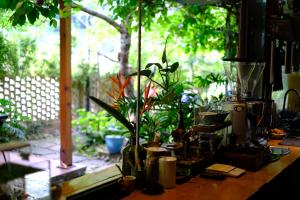吉婆岛Blue Lagoon Cat Ba的窗户上的台面上装有植物