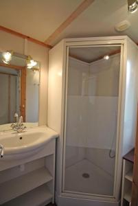 Verneuil-sur-ViennePeyroux的带淋浴、盥洗盆和淋浴的浴室