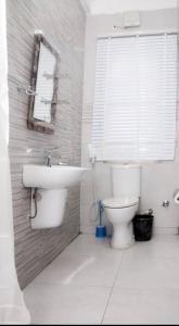 莱基BTT Homes的一间带卫生间、水槽和窗户的浴室