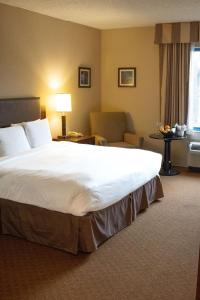 托莱多Delta Hotels by Marriott Toledo的酒店客房带一张大床和一把椅子