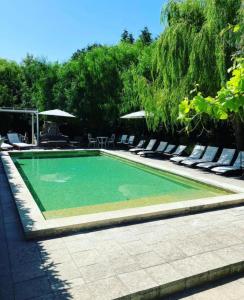 马尔塔诺Masseria Sucéa的毗邻度假酒店的带躺椅的游泳池