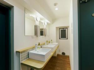 东京Akasaka Guesthouse HIVE的浴室设有2个水槽和2面镜子