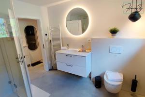 贝里斯泽尔Homely Stay Velosoph Quartier的一间带水槽、卫生间和镜子的浴室