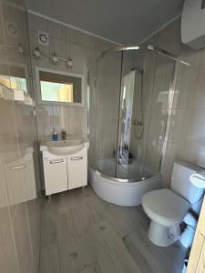 乌斯特卡Domki Milka的带淋浴、卫生间和盥洗盆的浴室