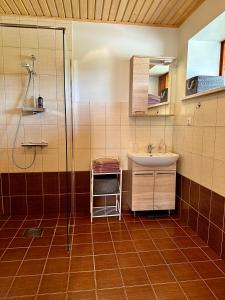KrüüdneriKrüüdneri puhkemaja的一间带水槽和淋浴的浴室