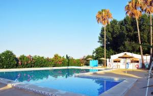 代穆斯HolaCamp Gandía的一座棕榈树环绕的游泳池