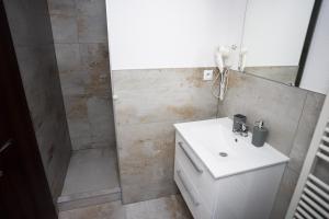 贝谢诺瓦Apartmány Banff的一间带水槽和淋浴的浴室