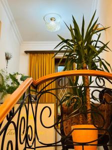 库塔伊西Hotel Tamar Mepe的坐在楼梯顶部的盆栽植物