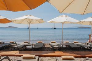 博德鲁姆KHAI HOTEL BODRUM的海滩上的一组椅子和遮阳伞