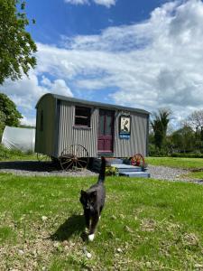 The Hares Hut at Carrigeen Glamping的一辆黑色猫在拖车前行走