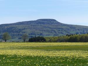 ChambonasTerres de France - Le Domaine des Vans的山前的黄花田