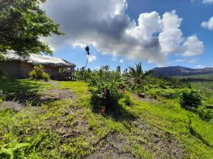 White SandsYasur View Bungalow and Tree House的山丘上草场的房子