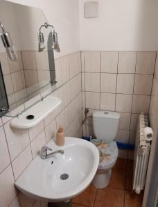 科尔别卢夫Apartament pod Szlakiem的一间带水槽和卫生间的浴室