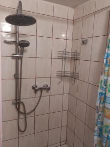 科尔别卢夫Apartament pod Szlakiem的浴室内配有淋浴和头顶淋浴