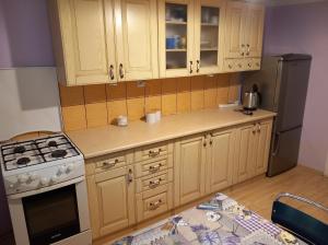 科尔别卢夫Apartament pod Szlakiem的厨房配有木制橱柜和冰箱。