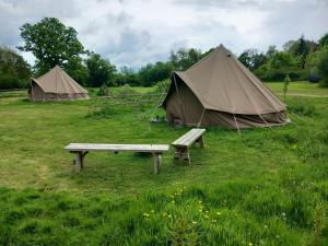 多切斯特Gaggle of Geese Pub - Shepherd Huts & Bell Tents的两个帐篷和一个田野长凳