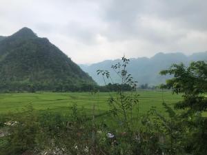 枚州县Mai chau Horizon Homestay的山地绿地