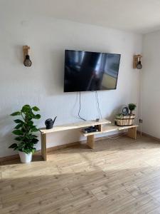 费斯恩Berger Wohlfühloase的客厅设有壁挂式平面电视。