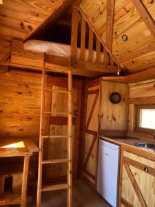 GertwillerDomaine Rosfelder - locations de gîte et cabane insolite的小木屋厨房配有梯子和水槽