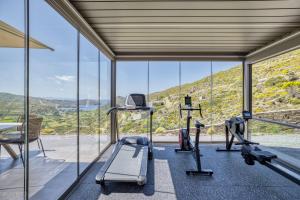 安德罗斯Heliades Villas Suite with private pool的健身房设有大窗户和跑步机