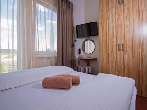 布拉迪斯拉发布拉迪斯拉发加尼飞行员酒店的酒店客房设有一张带镜子和窗户的床。