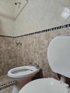 门多萨Hotel Geminis的一间带卫生间和水槽的浴室