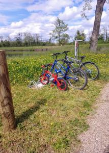 Luthenay-UxeloupLa Halte du Canal的两辆自行车停在湖边的草地上