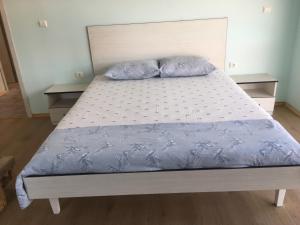 普罗夫迪夫Апартамент 170 кв.м за 6-ма, село Ягодово, Пловдивско的卧室内的一张带两个枕头的床