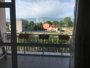 普罗夫迪夫Апартамент 170 кв.м за 6-ма, село Ягодово, Пловдивско的阳台上的窗户,上面有两盆植物