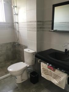 普罗夫迪夫Апартамент 170 кв.м за 6-ма, село Ягодово, Пловдивско的浴室配有卫生间、盥洗盆和浴缸。