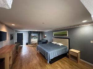 圣安东尼奥野马套房酒店的一间卧室配有一张床和一张书桌