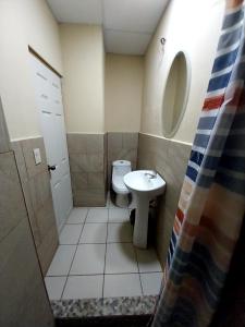 拉乌尼翁Hostal San José的一间带卫生间和水槽的浴室
