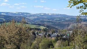 美瑟尔巴赫斯瓦兹姆Ferienwohnung Berndt的享有山谷和白雪覆盖的山脉的景色
