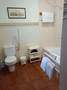 埃斯皮纳尔奥泽皮利Casa Rural Oihan - Eder的浴室配有卫生间、盥洗盆和浴缸。