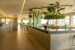 拉各斯Vertigo Hotel的天花板上种有植物的餐厅内的酒吧