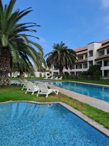 拉塞雷纳Hotel Palmas de La Serena的一个带躺椅和棕榈树的度假游泳池
