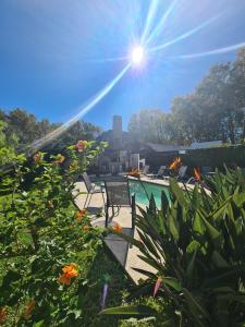 科洛尼亚-德尔萨克拉门托蚕茧酒店的庭院内带椅子和植物的游泳池