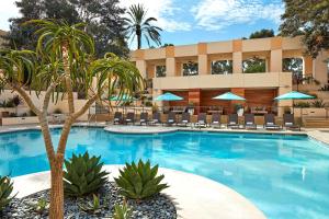 圣地亚哥米申谷圣地亚哥万豪酒店的酒店游泳池设有椅子和棕榈树