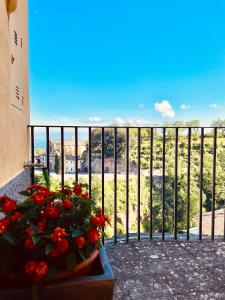 卡普拉罗拉Casa Checca appartamenti per vacanze的阳台,有一盆红色的鲜花和围栏