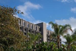 博伟公园Knott's Hotel的一座棕榈树环绕的大建筑