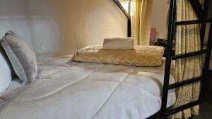 波哥大Casa Samor La Candelaria的床上有枕头
