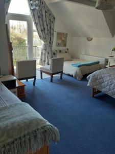 MonasterevinKYLEARD Ryan的一间卧室配有两张床,铺有蓝色地毯