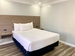 蒙特雷隆恩橡木酒店的一间卧室配有一张带白色床单的大床