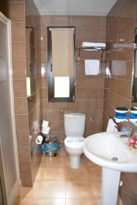 阿尔马登罗萨莱斯乡村餐厅酒店的一间带卫生间、水槽和镜子的浴室