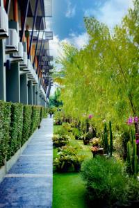 蔻立奥勒森林度假酒店的一座种植了树木和植物的建筑外的花园