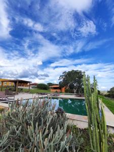 皮雷诺波利斯Villa dos Pireneus的前方的仙人掌游泳池