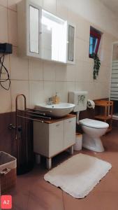 韦利拉特Apartments Josef - sea view的一间带水槽和卫生间的浴室